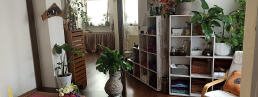 Entdecken Sie die wohltuende Welt der Thai-Massage in Stuttgart!